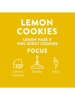 Cali Terpene Lemon Cookies | 1ml Sprühflasche